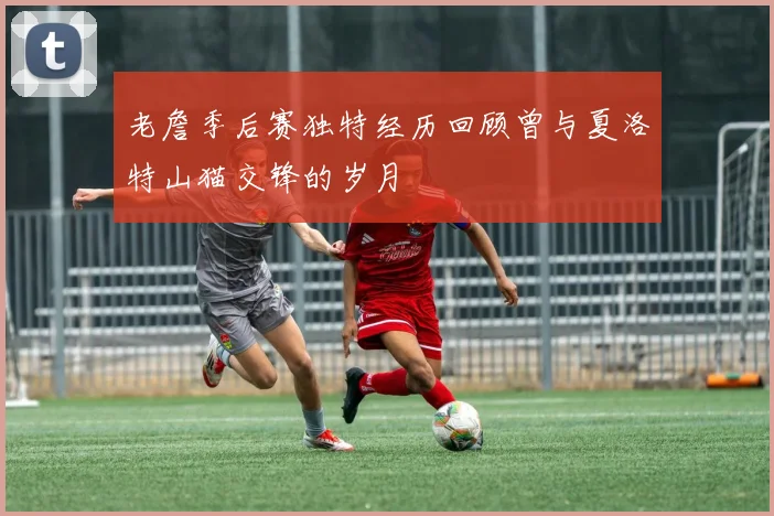 老詹季后赛独特经历回顾曾与夏洛特山猫交锋的岁月